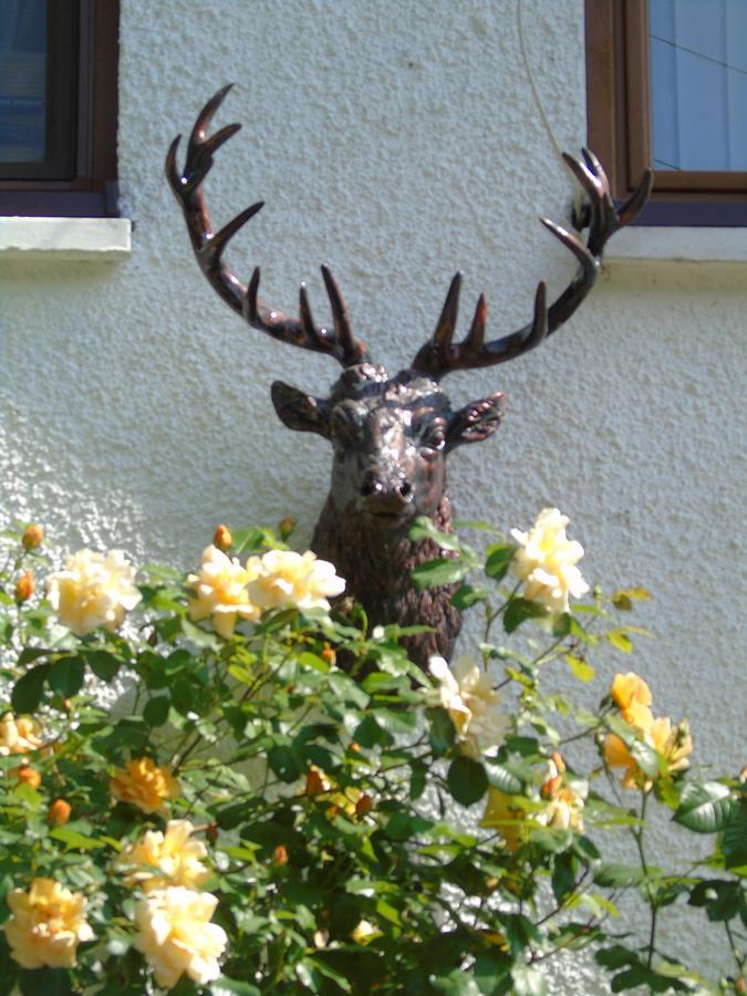 Craik Na Dav B&B Invermoriston Exterior foto
